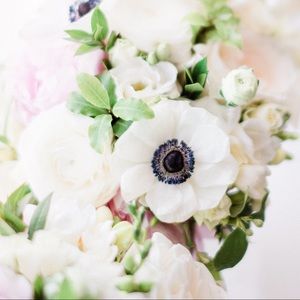 Meet your Posher, Sal